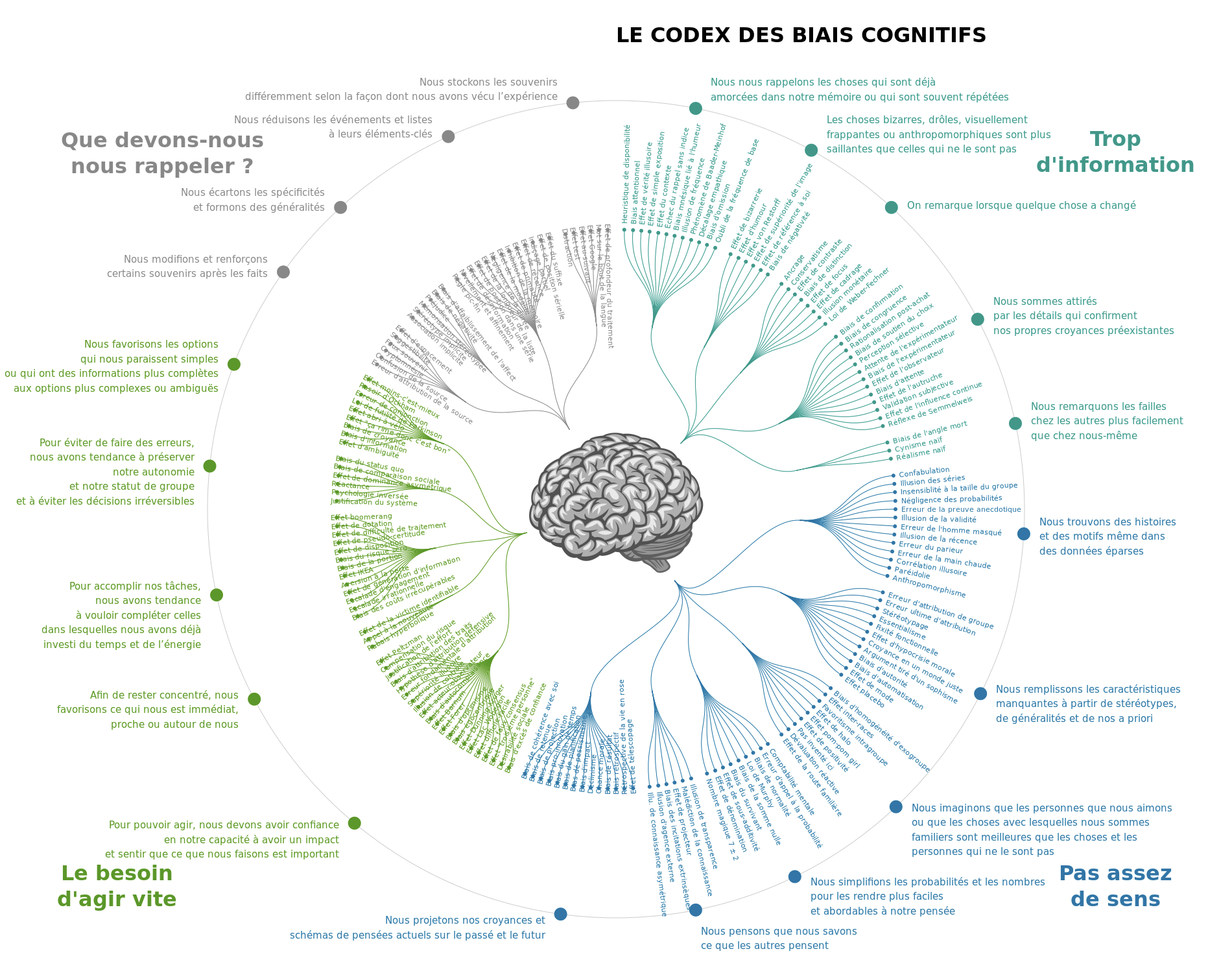 Diagramme des familles de biais cognitifs